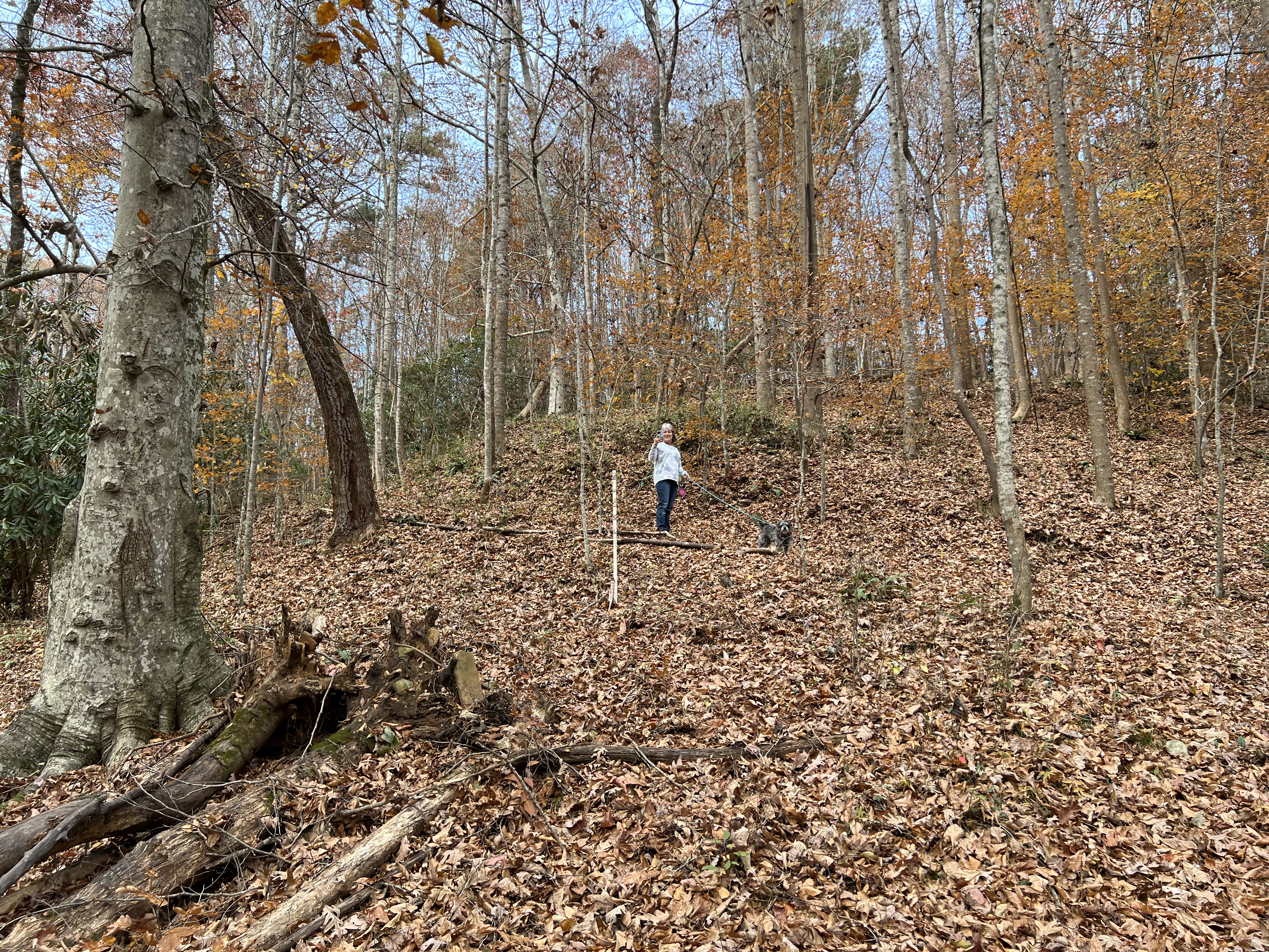 ./2023/13 - Elkin/IMG_0533.jpg